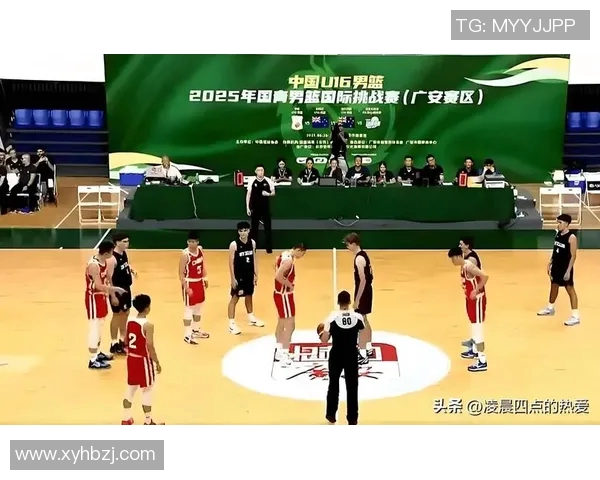 热爱篮球的明星们：他们在场上场下的精彩表现与故事